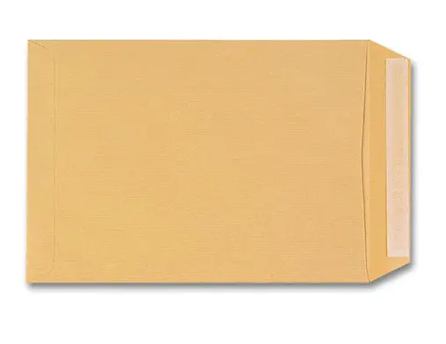 250 Brown kraft pouches - 90 g - 250 x 352 mm